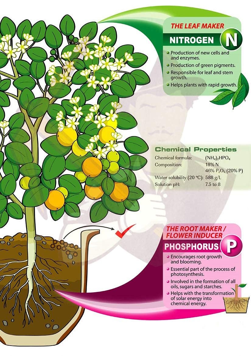 DAP Fertilizer 1 Kg Pack Best Quality For Plants & Gardening