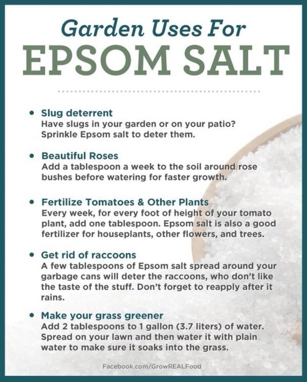 Epsom Salt Pak