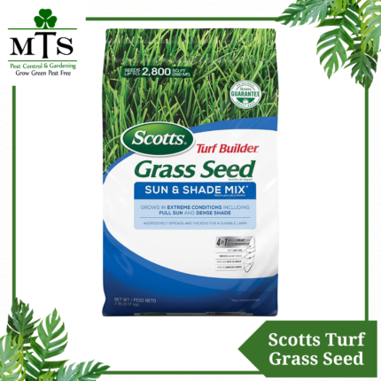 Scotts Truf Grass Seeds