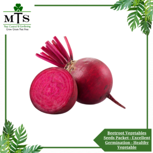 Beetroot (Chukandar) Vegetables Seeds - Vegetables Seeds Packet - Excellent Germination - Healthy Vegetable