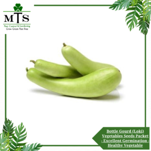 Bottle Gourd (Loki, Kaddu) Vegetables Seeds - Vegetables Seeds Packet - Excellent Germination - Healthy Vegetable