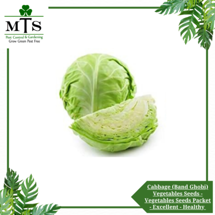 Cabbage (Band Ghobi) Vegetables Seeds - Vegetables Seeds Packet - Excellent Germination - Healthy Vegetable