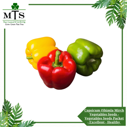 Capsicum (Shimla Mirch) Vegetables Seeds - Vegetables Seeds Packet - Excellent Germination - Healthy Vegetable