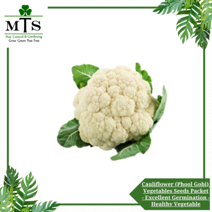 Cauliflower (Phool Gobi) Vegetables Seeds - Vegetables Seeds Packet - Excellent Germination - Healthy Vegetable