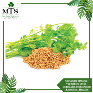 Coriander (Dhania) Vegetables Seeds - Vegetables Seeds Packet - Excellent Germination - Healthy Vegetable