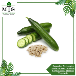 Cucumber Vegetables Seeds - Vegetables Seeds Packet - Excellent Germination - Healthy Vegetable