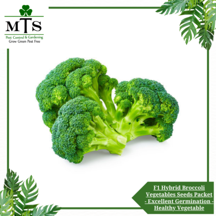 F1 Hybrid Broccoli Vegetables Seeds - Vegetables Seeds Packet - Excellent Germination - Healthy Vegetable