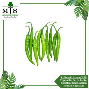 F1 Hybrid Green Chilli Vegetables Seeds - Vegetables Seeds Packet - Excellent Germination - Healthy Vegetable