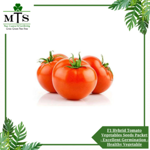 F1 Hybrid Tomato Vegetables Seeds - Vegetables Seeds Packet - Excellent Germination - Healthy Vegetable