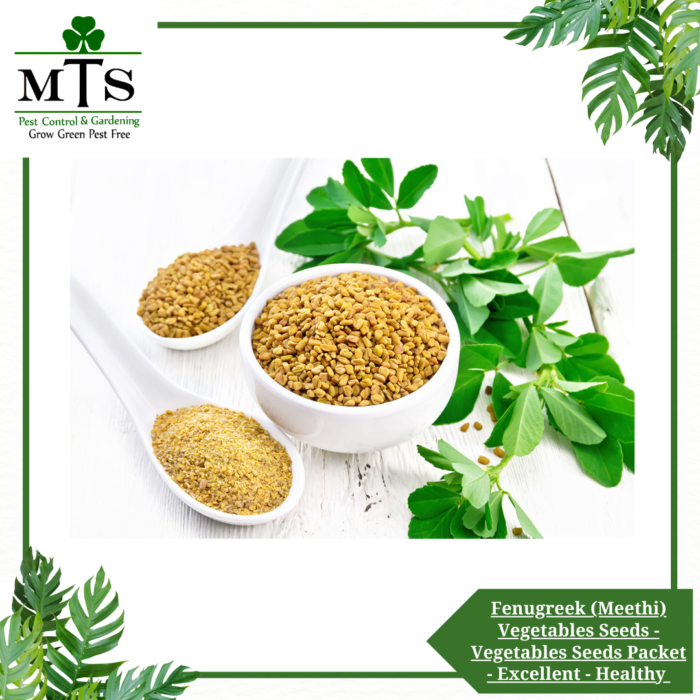 Fenugreek (Meethi) Vegetables Seeds - Vegetables Seeds Packet - Excellent Germination - Healthy Vegetable