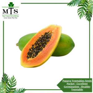 Papaya Vegetables Seeds - Vegetables Seeds Packet - Excellent Germination - Healthy Vegetable