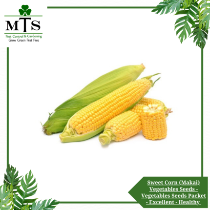 Sweet Corn (Makai) Vegetables Seeds - Vegetables Seeds Packet - Excellent Germination - Healthy Vegetable
